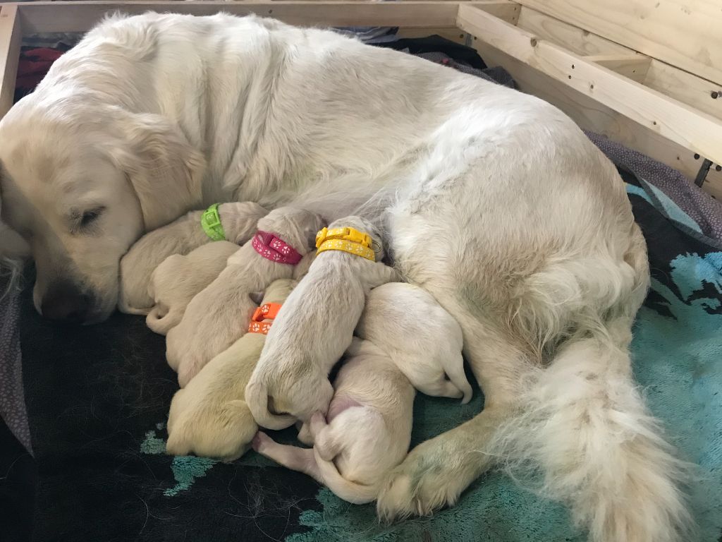 Les bébés sont nés ! 